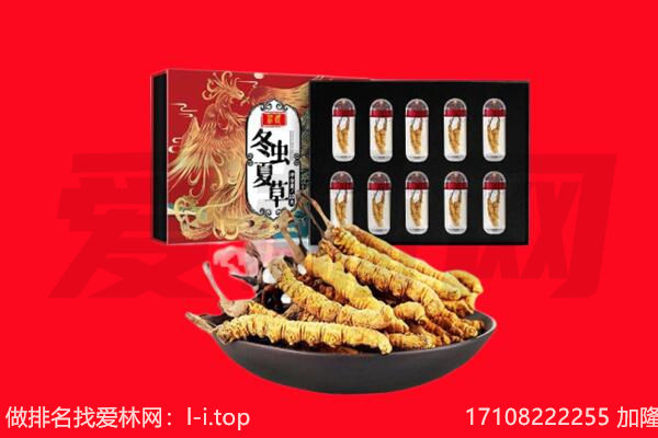 项城市回收虫草.jpg